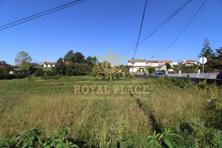 Terreno para Venda em Nogueira do Cravo e Pindelo Foto 46