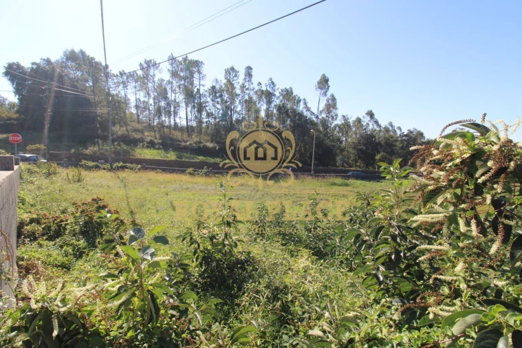 Terreno para Venda em Nogueira do Cravo e Pindelo Foto 28