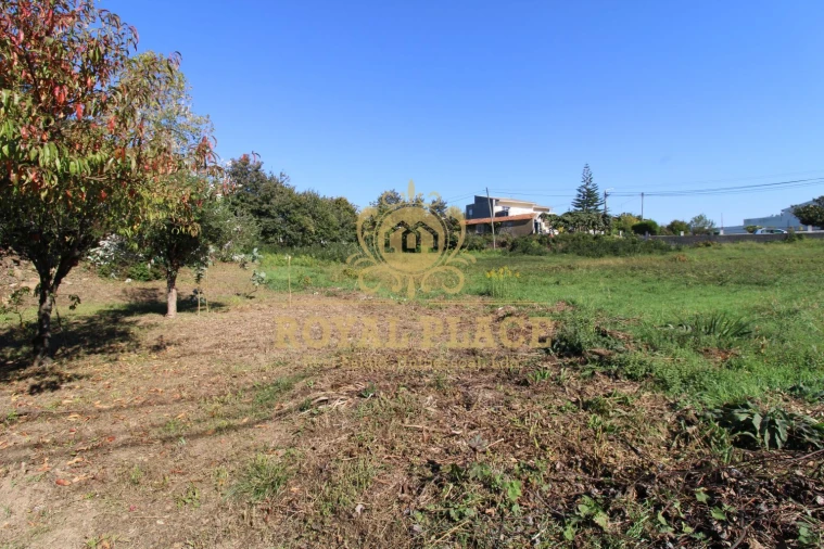 Terreno para Venda em Nogueira do Cravo e Pindelo Foto 14