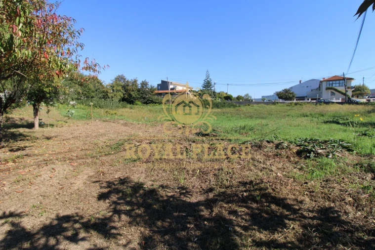 Terreno para Venda em Nogueira do Cravo e Pindelo Foto 15