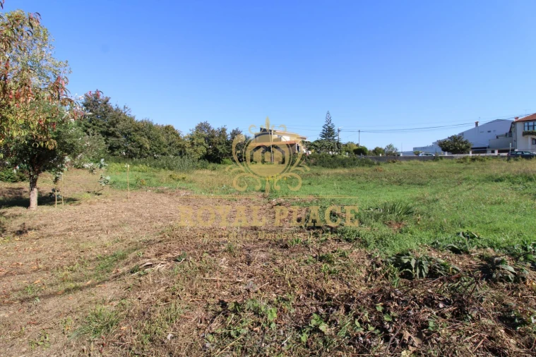 Terreno para Venda em Nogueira do Cravo e Pindelo Foto 13