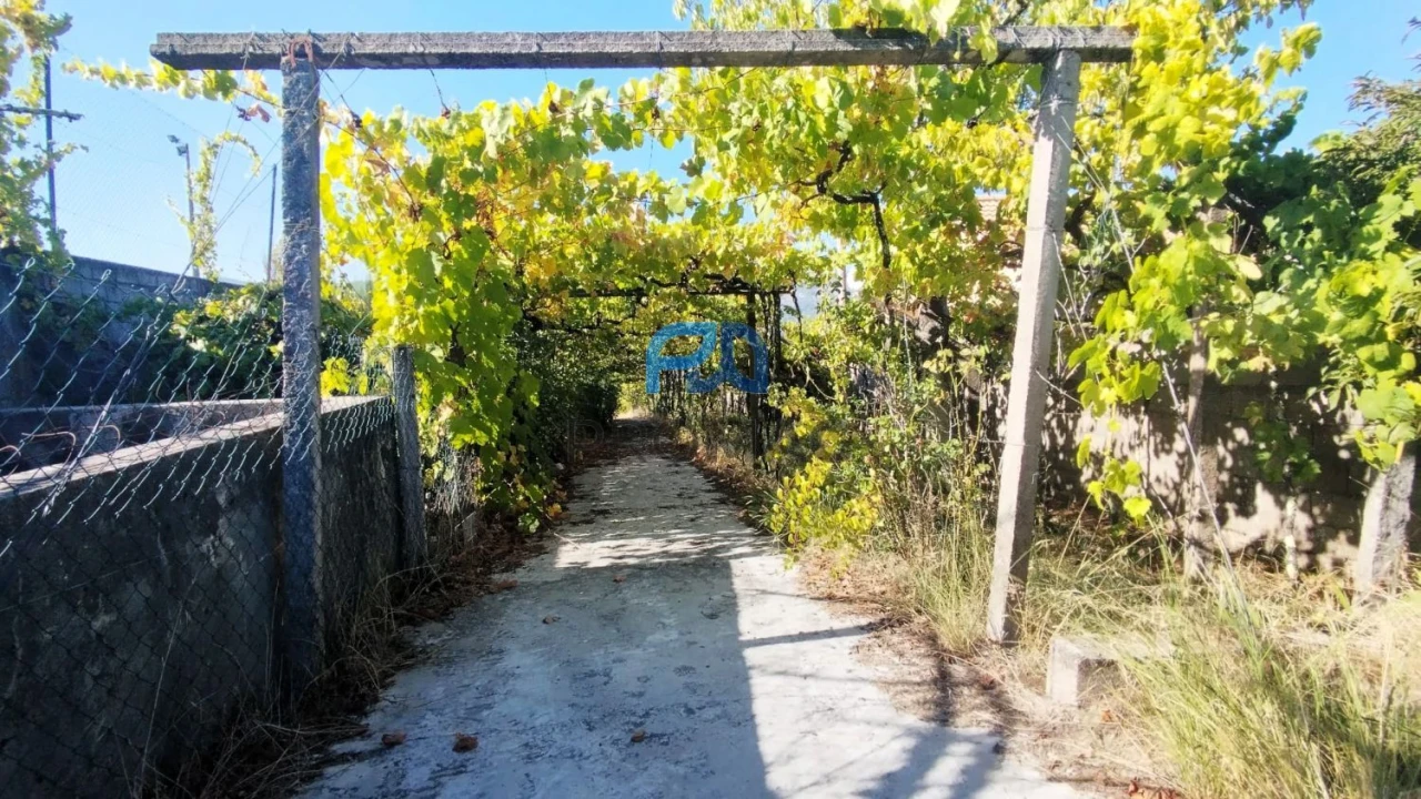 Quinta T3 para Venda em Freigil e Miomães Foto 3