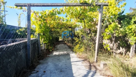 Quinta T3 para Venda em Freigil e Miomães