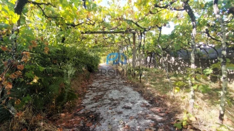 Quinta T3 para Venda em Freigil e Miomães