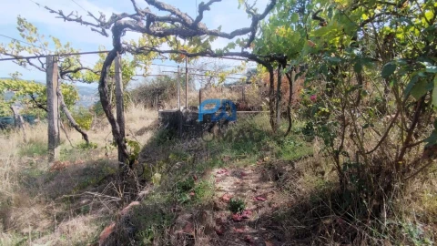 Quinta T3 para Venda em Freigil e Miomães