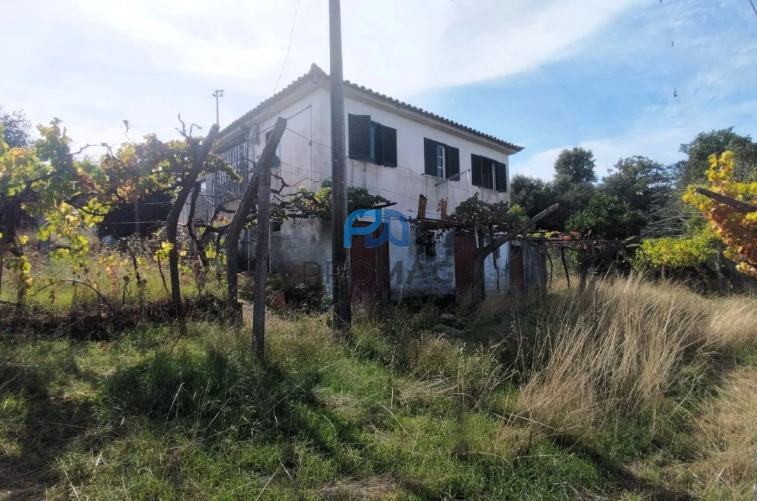 Quinta T3 para Venda em Freigil e Miomães Foto 16