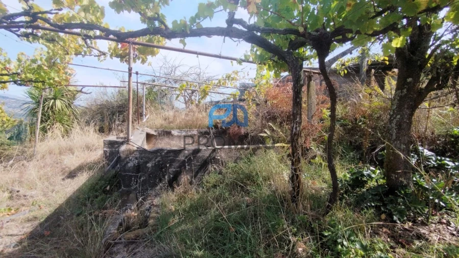 Quinta T3 para Venda em Freigil e Miomães Foto 8