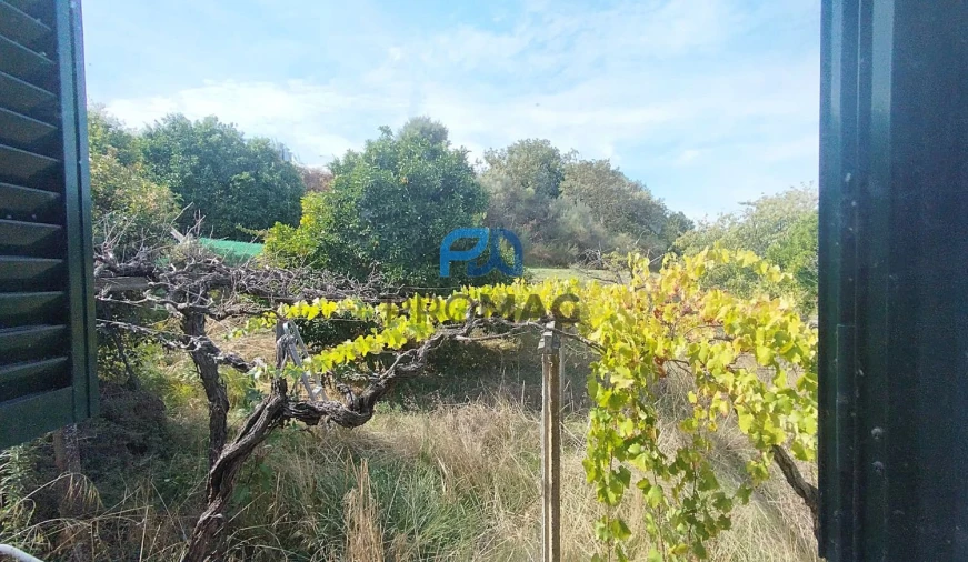 Quinta T3 para Venda em Freigil e Miomães Foto 37