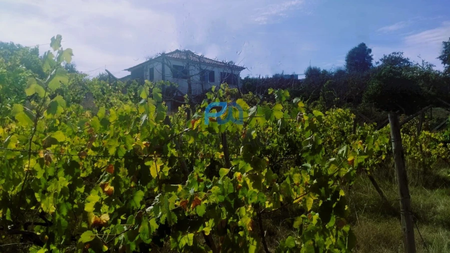 Quinta T3 para Venda em Freigil e Miomães Foto 13