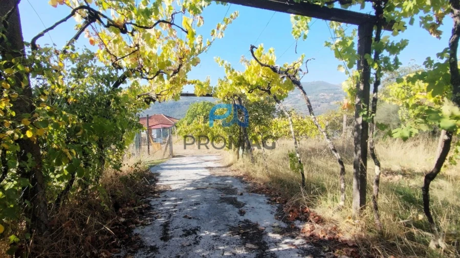 Quinta T3 para Venda em Freigil e Miomães Foto 6