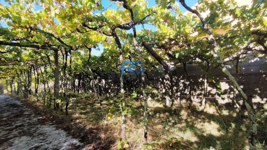 Quinta T3 para Venda em Freigil e Miomães Foto 4
