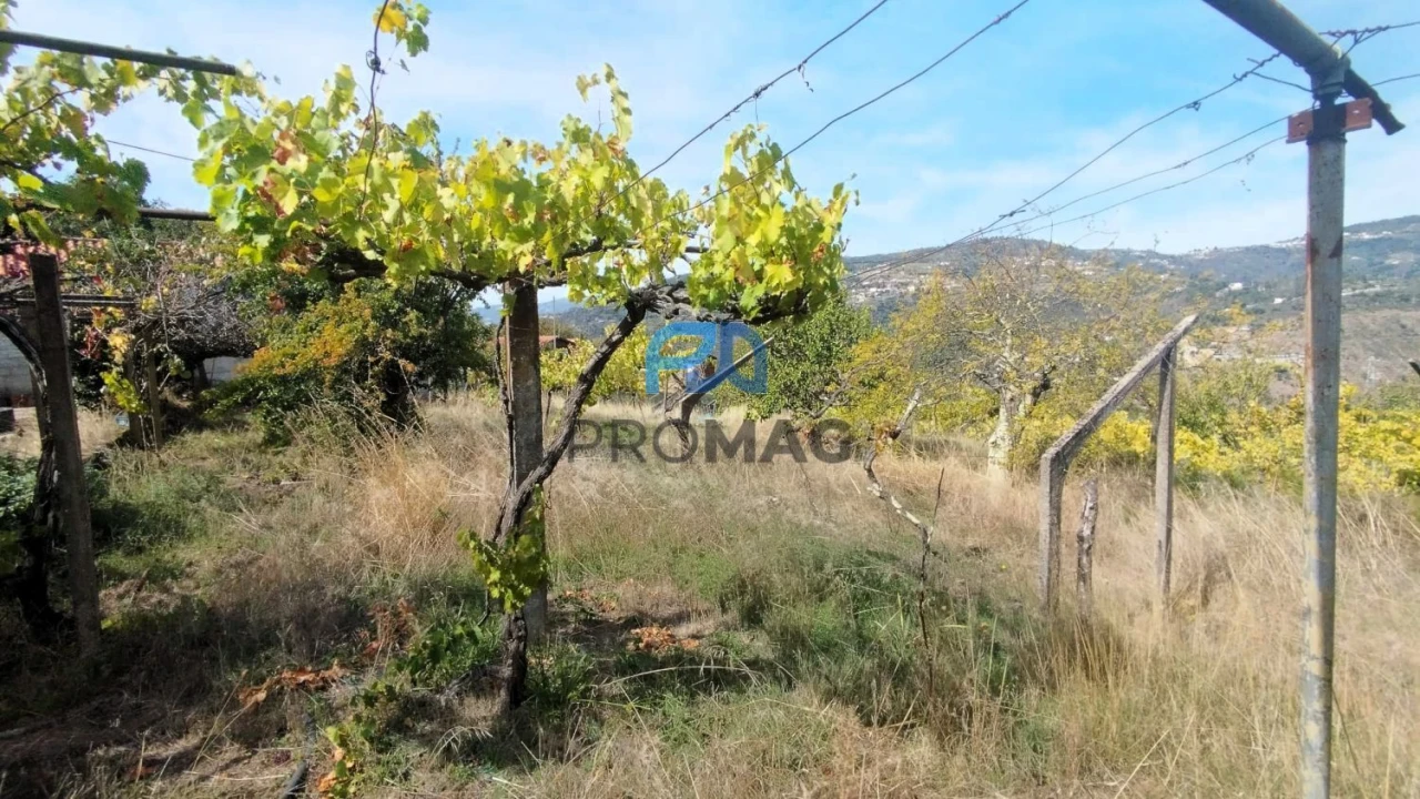 Quinta T3 para Venda em Freigil e Miomães Foto 14
