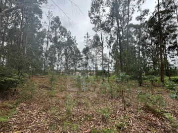 Terreno para Venda em Vila Chã
