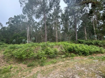 Terreno para Venda em Vila Chã