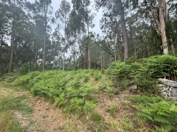 Terreno para Venda em Vila Chã