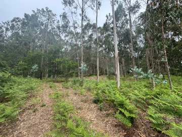Terreno para Venda em Vila Chã