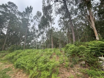 Terreno para Venda em Vila Chã