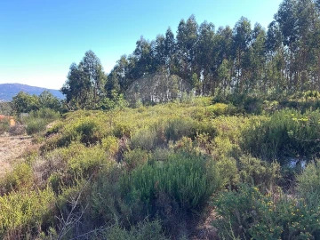 Terreno para Venda em Arões