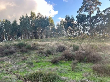Terreno para Venda em Arões