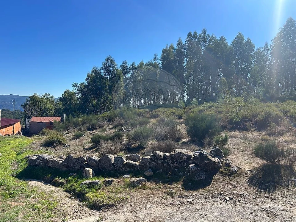 Terreno para Venda em Arões Foto 1