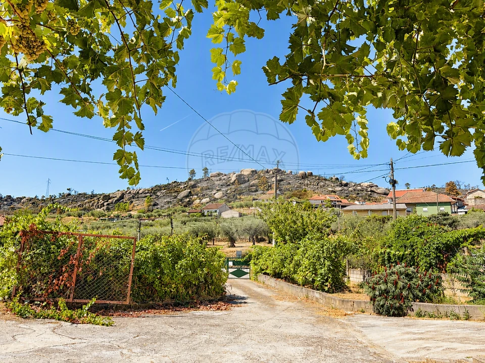 Moradia T3 para Venda em São Pedro Velho Foto 44