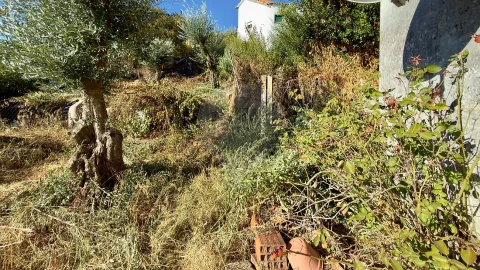 Prédio para Venda em Castelo Branco