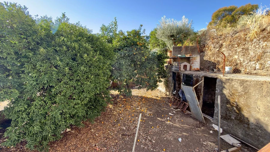 Prédio para Venda em Castelo Branco Foto 15