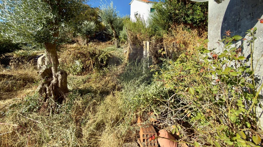 Prédio para Venda em Castelo Branco Foto 10