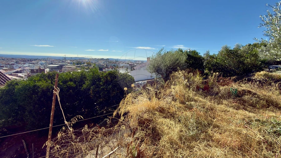 Prédio para Venda em Castelo Branco Foto 9