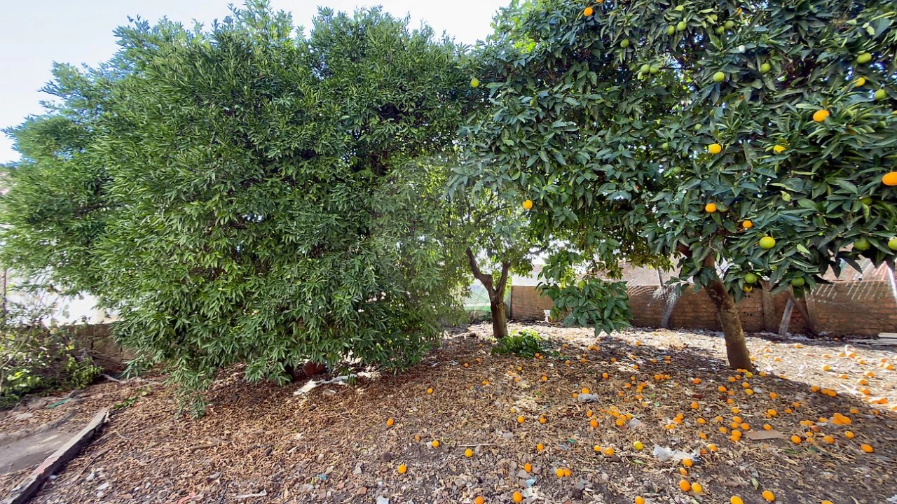 Prédio para Venda em Castelo Branco Foto 30
