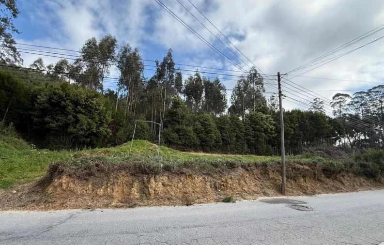 Terreno para Venda em Serzedo e Perosinho Foto 2