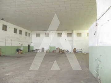 Armazém para Arrendamento em Sangalhos