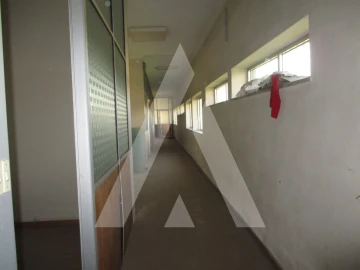 Armazém para Arrendamento em Sangalhos