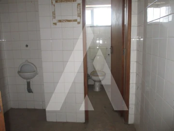 Armazém para Arrendamento em Sangalhos