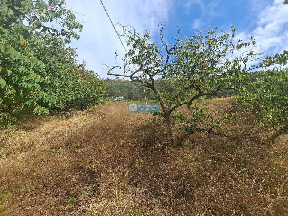 Terreno para Venda em Campanario Foto 1