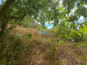 Terreno para Venda em Campanario