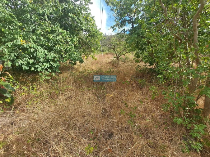 Terreno para Venda em Campanario Foto 9