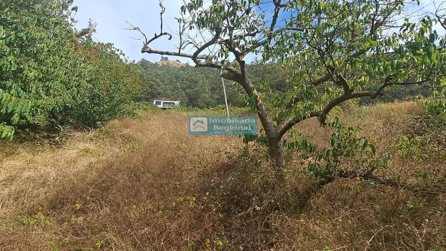 Terreno para Venda em Campanario