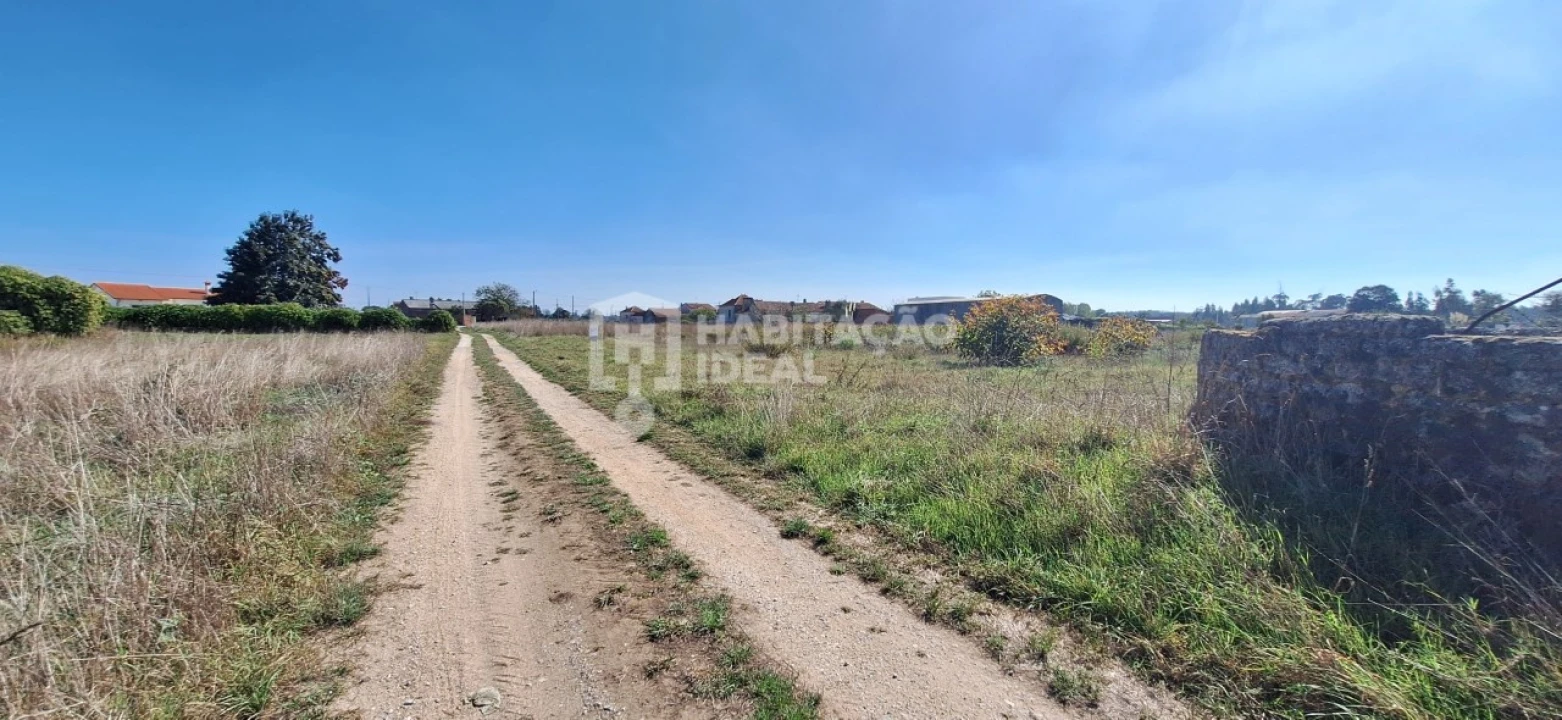 Terreno Agricola ou Rústico para Venda em Soza Foto 3