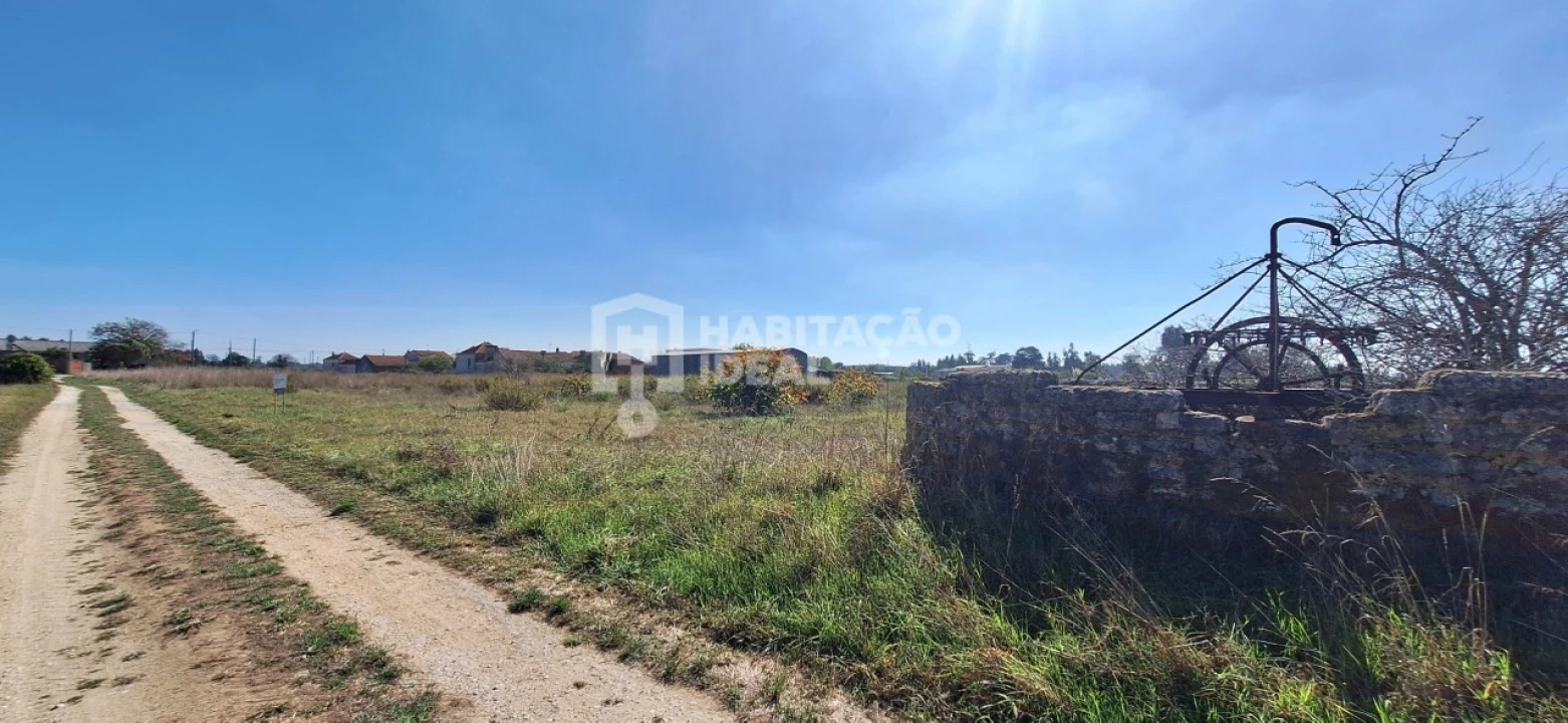 Terreno Agricola ou Rústico para Venda em Soza Foto 4