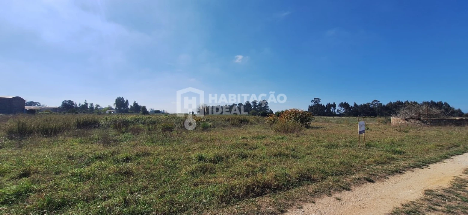 Terreno Agricola ou Rústico para Venda em Soza Foto 6