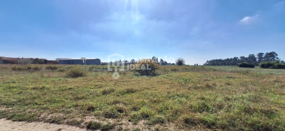 Terreno Agricola ou Rústico para Venda em Soza