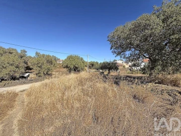 Terreno para Venda em São Miguel do Pinheiro, São Pedro de Solis, São Sebastião dos Carros