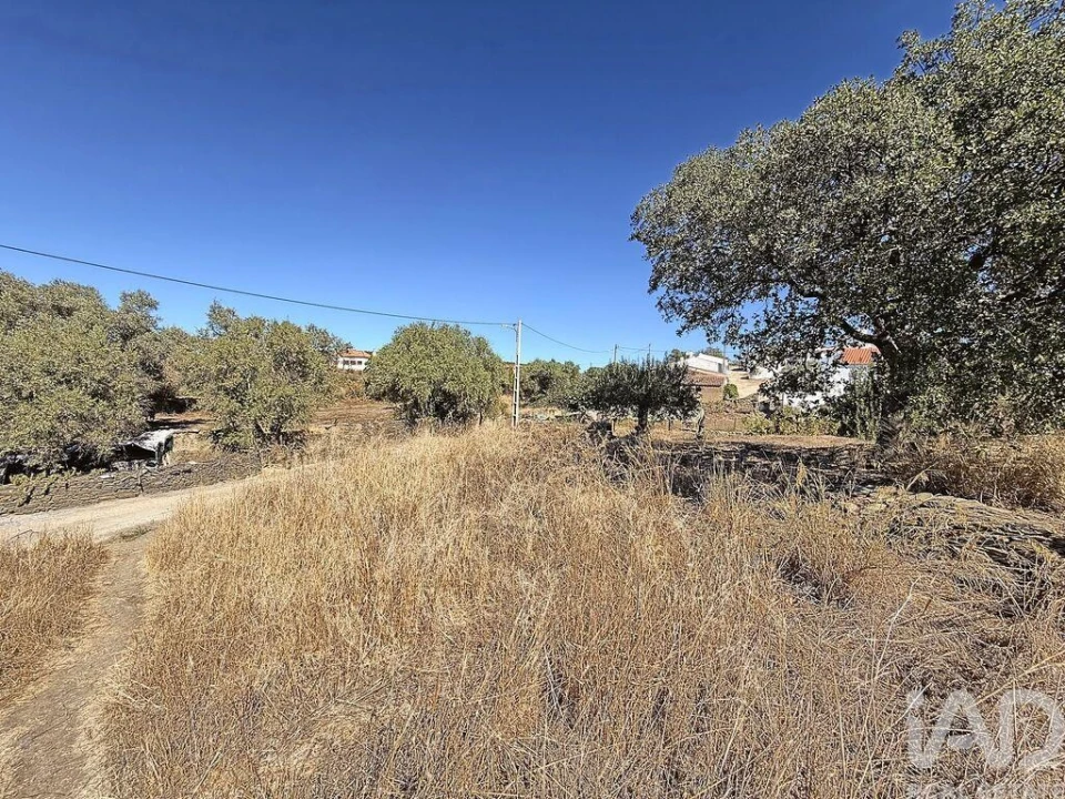 Terreno para Venda em São Miguel do Pinheiro, São Pedro de Solis, São Sebastião dos Carros Foto 13