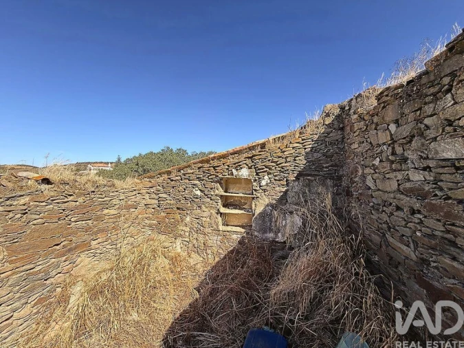 Terreno para Venda em São Miguel do Pinheiro, São Pedro de Solis, São Sebastião dos Carros Foto 3