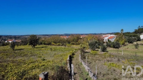 Quinta T4 para Venda em Senhorim