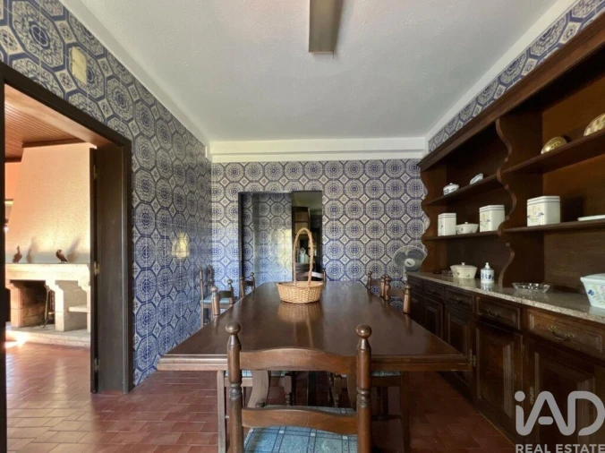 Quinta T4 para Venda em Senhorim Foto 32