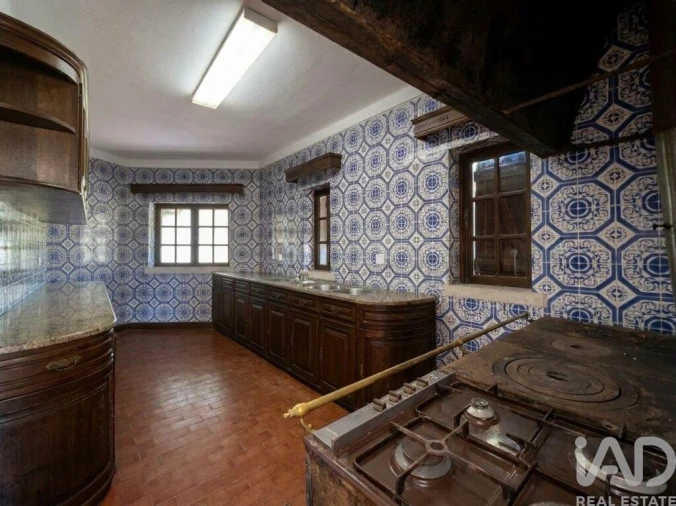 Quinta T4 para Venda em Senhorim Foto 30
