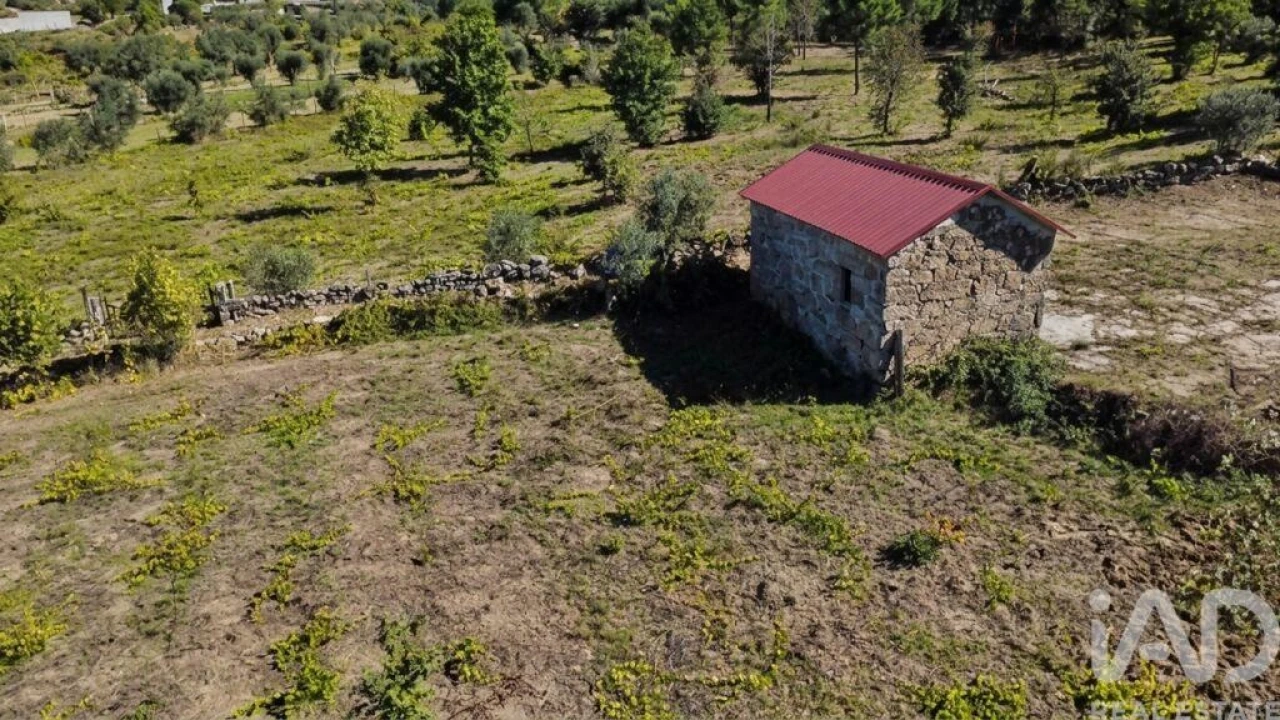 Quinta T4 para Venda em Senhorim Foto 8