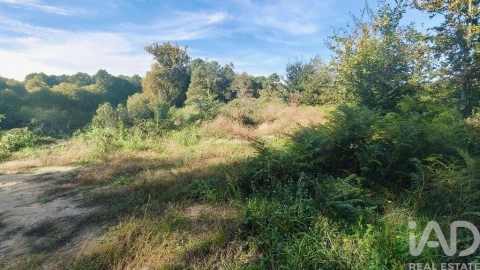 Terreno para Venda em Reboreda e Nogueira